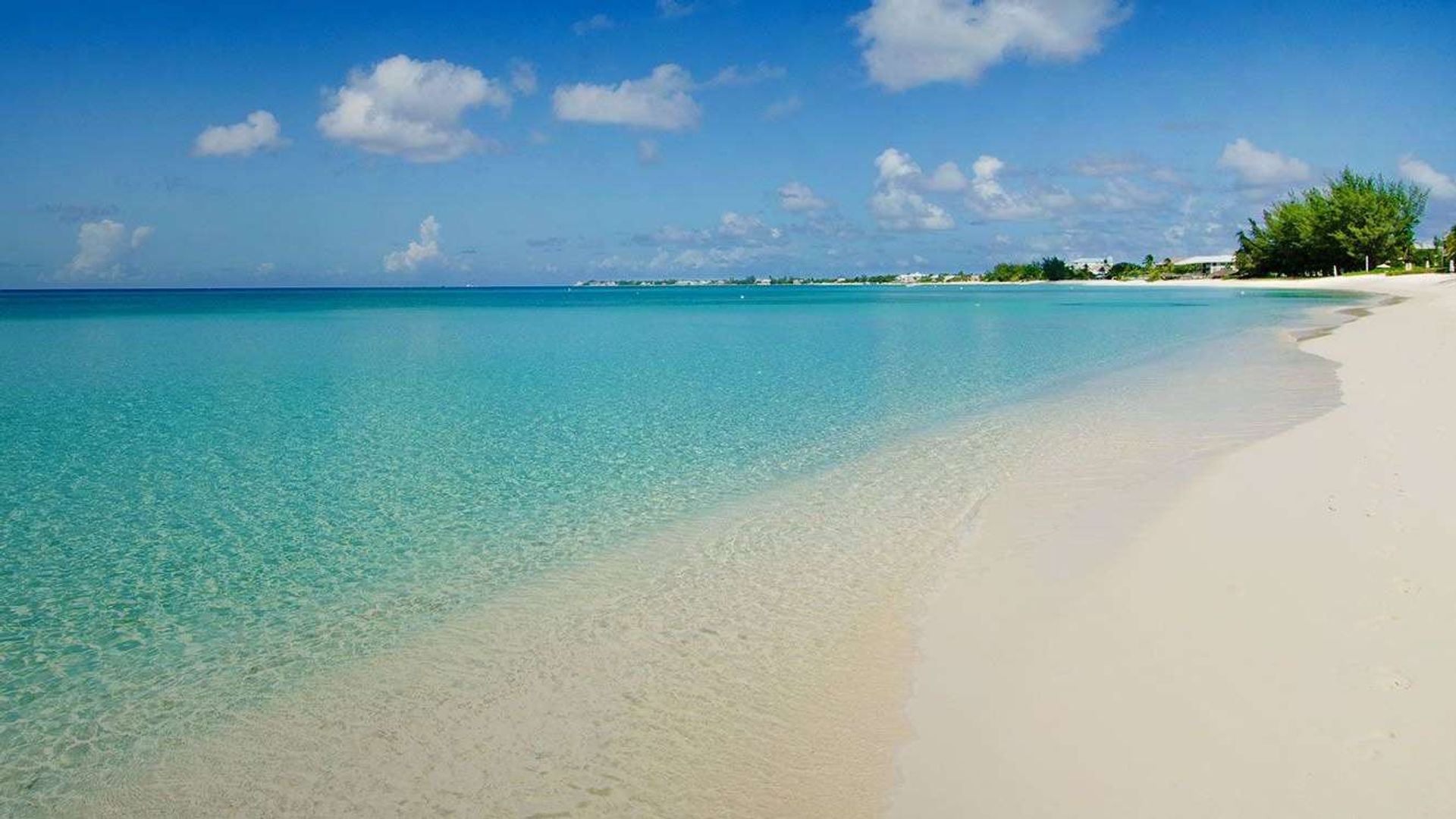 Soft opening of borders will help real estate industry