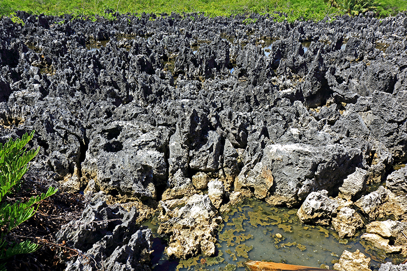 View Of The Limestone Deposits