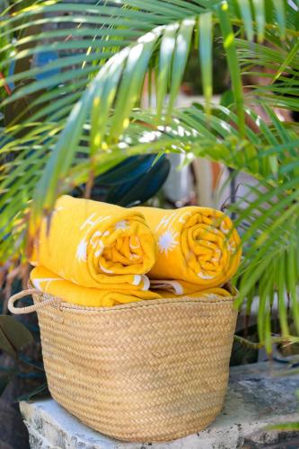 Bovell Event - Nov 23